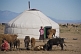 Image of Yurt encampment on the mongolian plains, with woman milking a cow.