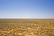 View of the desolate Nullabor Plain from the 'Indian Pacific'