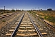Railway tracks on the Indian Pacific route converge to the distant horizon.