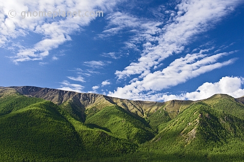 Forested mountains of the Altai Republic.