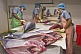 Yellowfin Tuna Processing