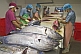 Yellowfin Tuna Processing