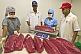 Whole Tuna-Steak Shipping