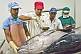 Checking Tuna Quality
