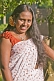 Portrait of Sri Lankan Woman in Sari - 03
