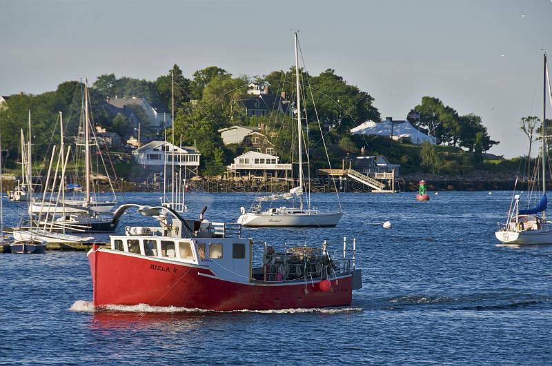 A lobster boat passes moored sailboats as it returns to harbor in the early morning.