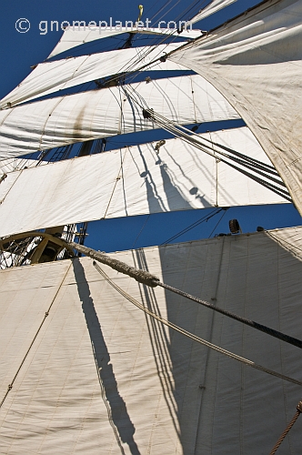The square-rigger 'Picton Castle' under full sail.