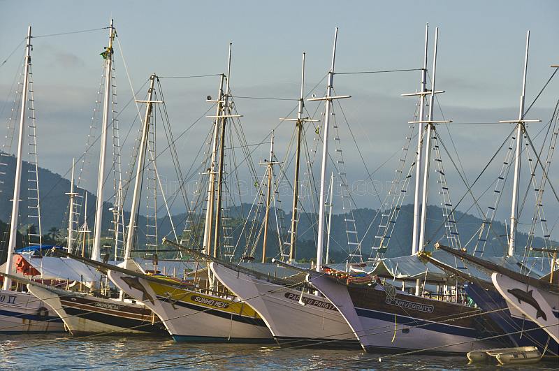 Schooners at anchor in Parati harbor in evening sunlight.