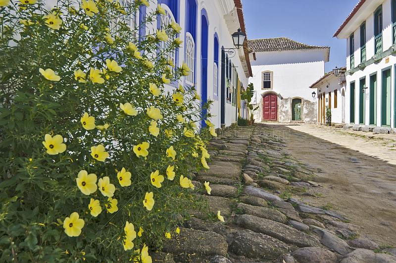 Plants grow outside colorful colonial house on empty cobbled street.