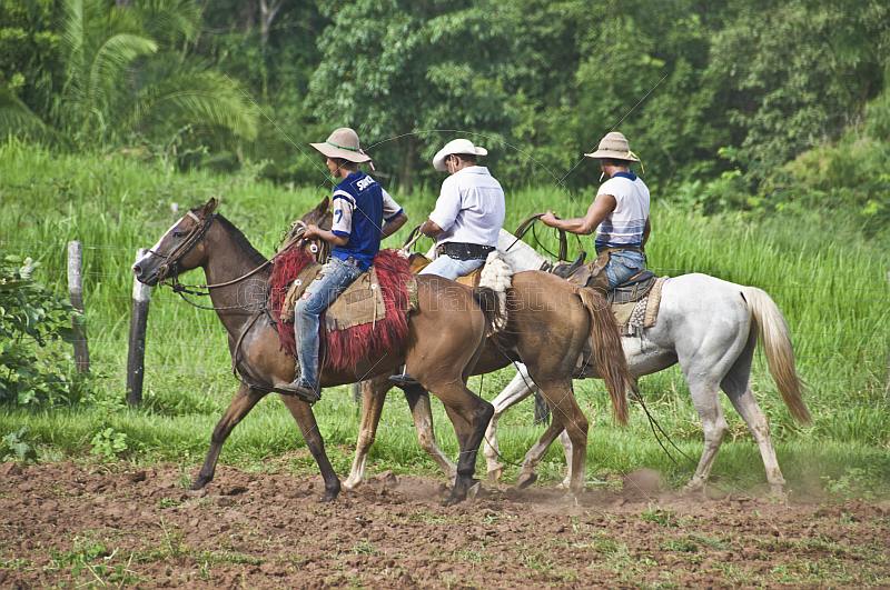 Three Brazillian cowboys on horseback.