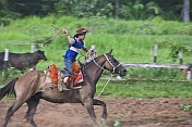 Young Cowboy on horseback with lasso.