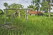 Abandoned farmhouse and well in the Pantanal.