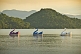 Image of Pedalo swans at anchor on the Bahia Da Ilha Grande.