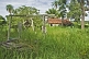 Image of Abandoned farmhouse and well in the Pantanal.