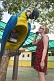 Girl use a macaw-shaped telephone booth.