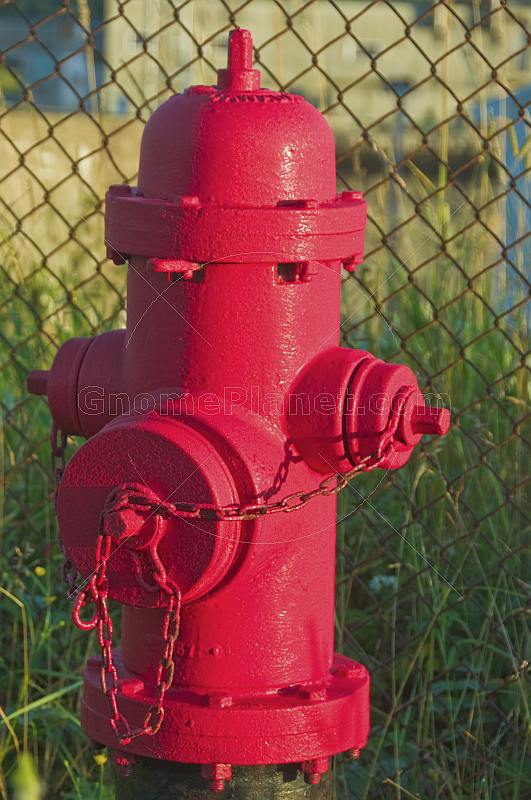 A recently painted red fire hydrant.