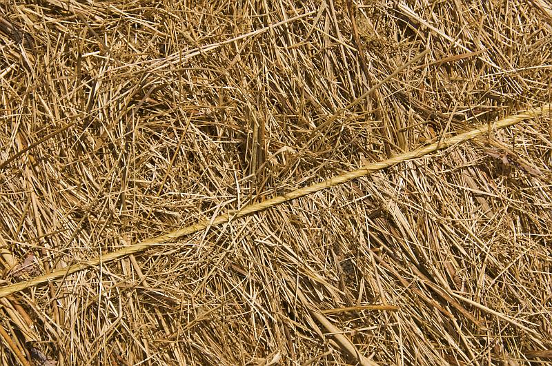Detail of a bale of meadow hay with yellow baler twine crossing diagonally.