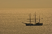 The tallship 'Picton Castle' at anchor by herself in a silver sea.