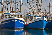 Three blue fishing boats moored to the wharf.