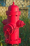 A recently painted red fire hydrant.