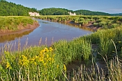 The Saint Croix River meanders past flower filled meadows and gypsum cliffs.