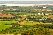 Forests and apple orchards contrast rolling farmland next to the Minas Basin.