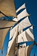 Image of View of the foremast of the tallship 'Picton Castle' with sails full in a strong wind.