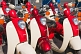 Red and white Honda motor scooters waiting for hire.