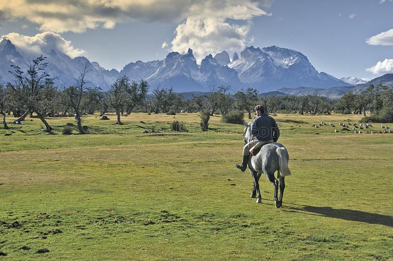 A local horse rider in the Parque Nacional Los Glaciares.