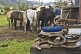 Image of Horse riding preparations in the Parque Nacional Los Glaciares.