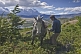 A break from horse riding in the Parque Nacional Los Glaciares.