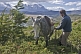 Image of A break from horse riding in the Parque Nacional Los Glaciares.