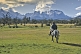 Image of A local horse rider in the Parque Nacional Los Glaciares.