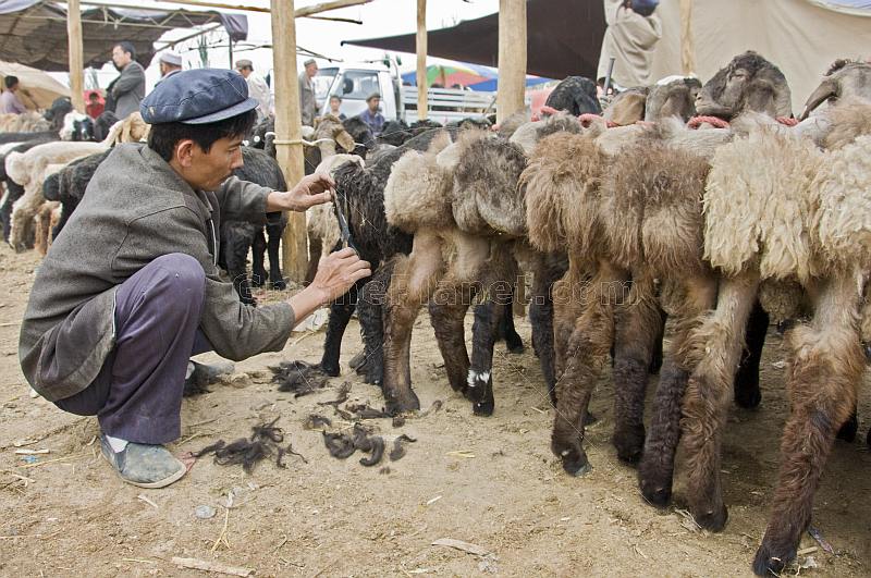 Uighur man trimming sheep tails at the Sunday Market.