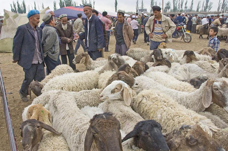 Traders discuss the price of sheep at the Sunday Market.