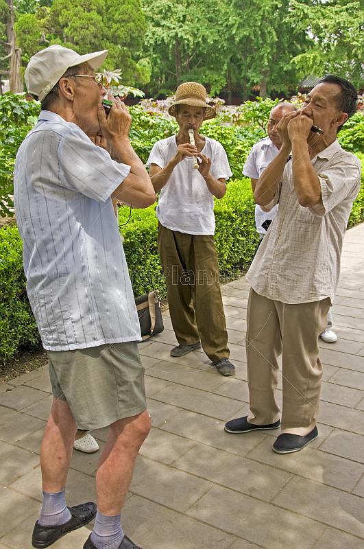 Chinese musicians practise in Jingshan Park.