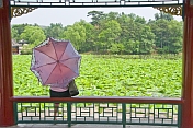 Girl with umbrella looking at the Lily Lake of the Bishu Shanzhuang summer resort for Qing Emperors.