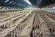 Image of Ranks of Terracotta warriors in pit number 1.