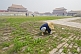A gardener cleans the paths outside of the Gate of Supreme Harmony in the Forbidden City.