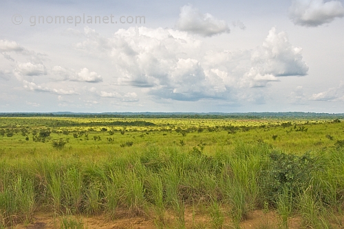 A cloudy sky over open grassland and forest.