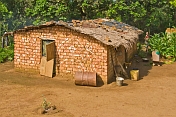 Decorated mud brick house in jungle clearing.
