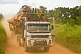 A logging truck with passengers on the roof drives along a dusty jungle road.