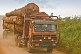 Image of A logging truck loaded with tropical hardwood logs drives along a dusty jungle road.