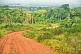 Image of A dusty logging road snakes through the densely forested jungle.