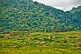 Image of A village of wooden huts occupies cleared rain forest land below tree-covered hills.