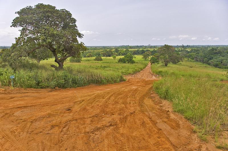 A graded sandy road runs through forested savannah grassland.