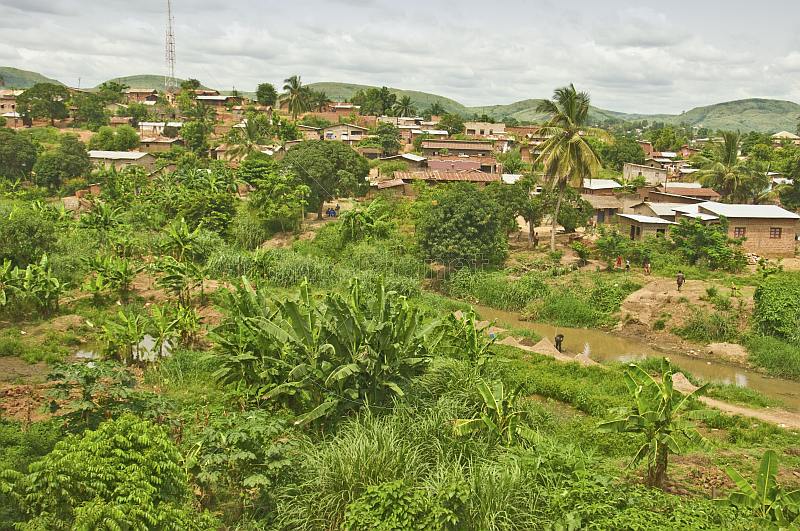 Vegetable and banana plots across the river from brick and corrugated iron houses in central Boma.