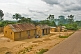 Image of Peanuts drying on the ground in front of mud-brick houses.