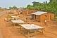 Image of Mud-brick houses with stalls along the main road selling dried manioc and cassava root (Manihot esculenta).
