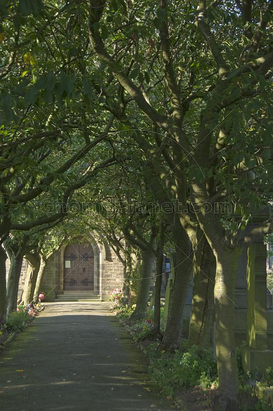 Cherry-tree covered walk to the Emmanuel Shelley stone church.